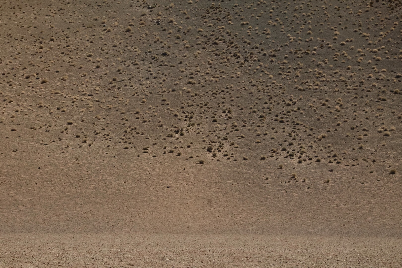 Puna Landscapes - Geometries and Cartographies